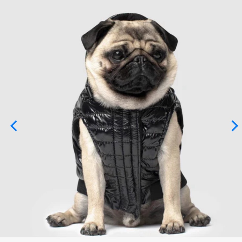 Canada Pooch Shiny North Pole Insulated Dog Puffer Vest